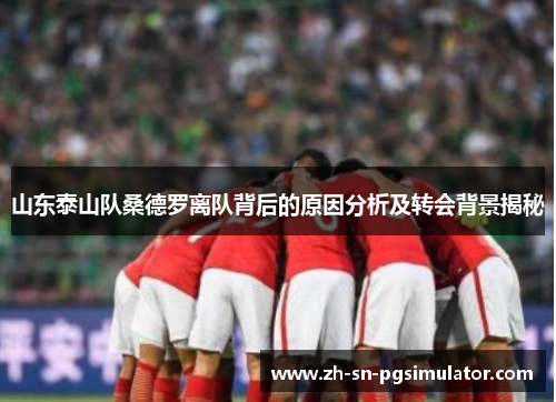 山东泰山队桑德罗离队背后的原因分析及转会背景揭秘