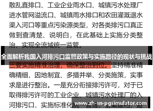 全面解析我国入河排污口监管政策与实施路径的现状与挑战