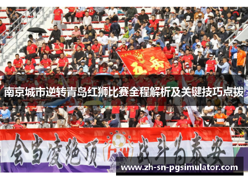 南京城市逆转青岛红狮比赛全程解析及关键技巧点拨
