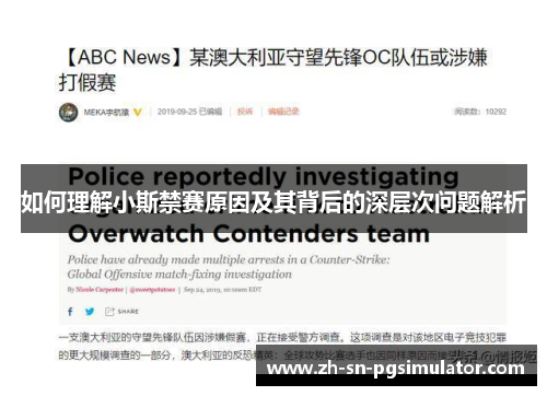 如何理解小斯禁赛原因及其背后的深层次问题解析