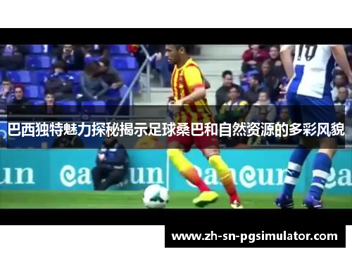 巴西独特魅力探秘揭示足球桑巴和自然资源的多彩风貌