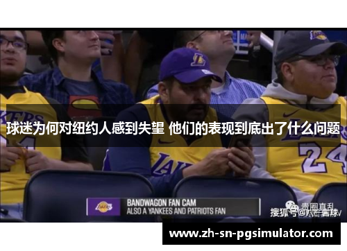 球迷为何对纽约人感到失望 他们的表现到底出了什么问题