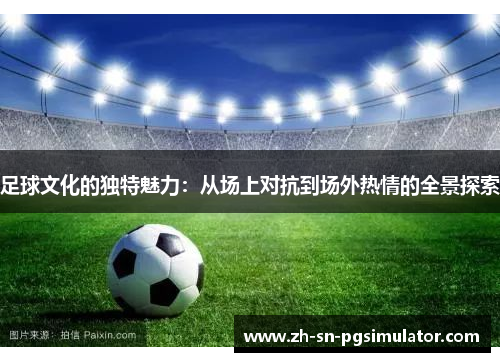 足球文化的独特魅力：从场上对抗到场外热情的全景探索