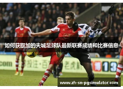如何获取加的夫城足球队最新联赛成绩和比赛信息