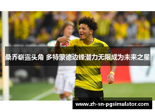 桑乔崭露头角 多特蒙德边锋潜力无限成为未来之星