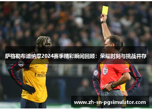 萨格勒布迪纳摩2024赛季精彩瞬间回顾：荣耀时刻与挑战并存